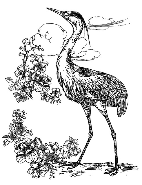 Free crane bird flowers illustration