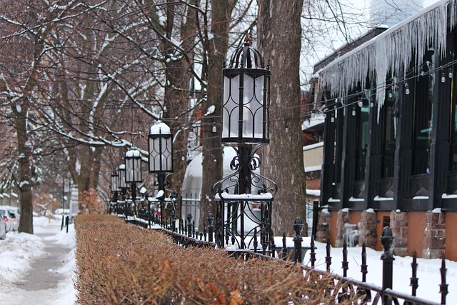 Stadt, Dorf, Toronto, Winter, Saisonal