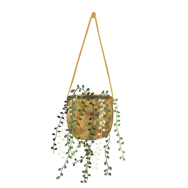 Free plant leaves home illustration