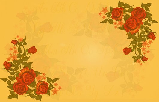 Vintage, Flor, Natureza, Amor, Rosa