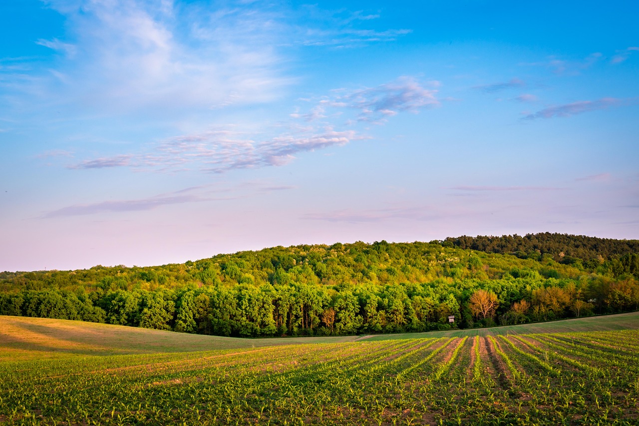 agriculture background images hd