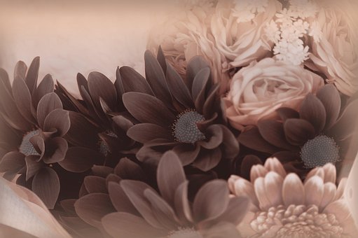 Free Bouquet Flowers photo and picture