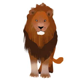 Dyr, Safari, Natur, Multimedieklip