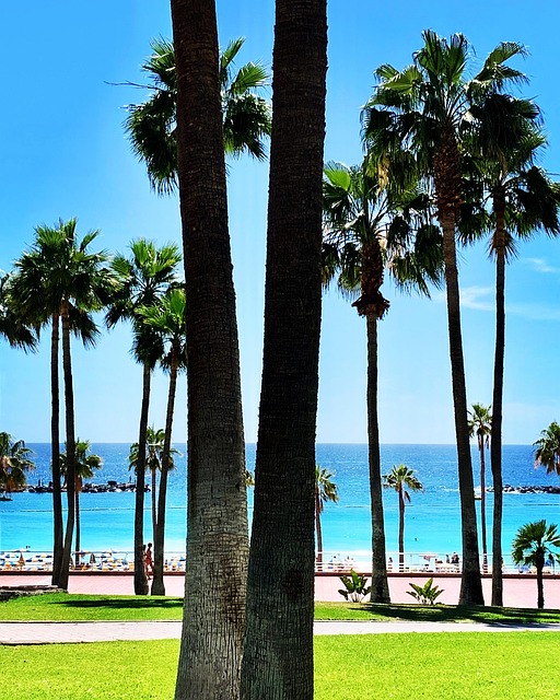 Free Amadores Beach photo and picture
