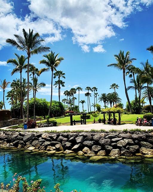 Free Anfi Del Mar Gran Canaria photo and picture
