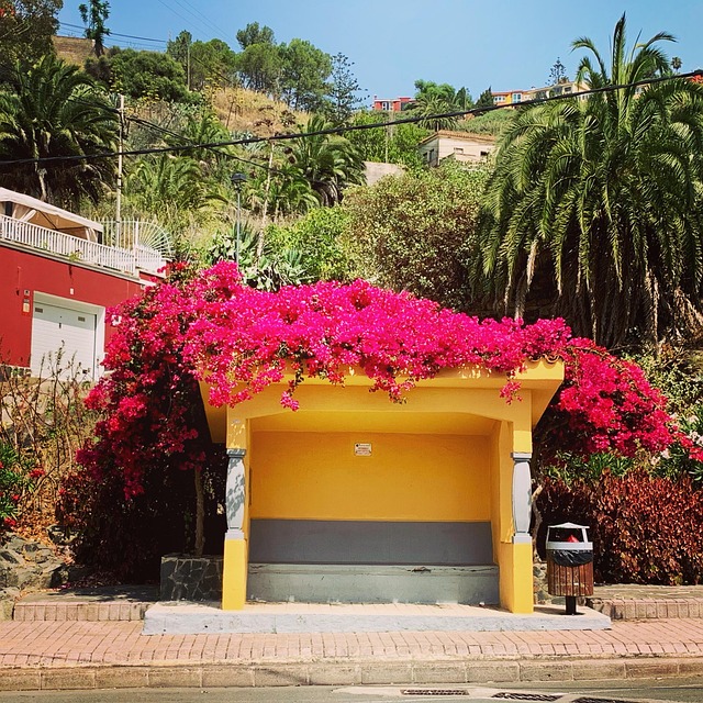 Free Santa Brigida Bus Stop photo and picture