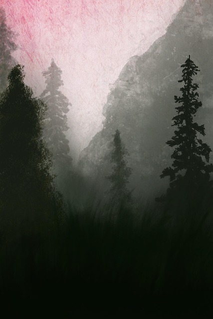 Free forest woods dark illustration