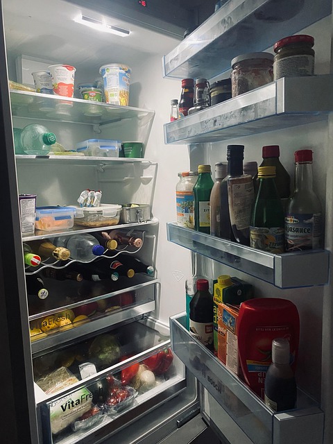Free Refrigerator Vegan photo and picture