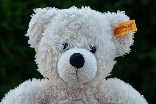 Bamse, Bjørn, Leketøy, Søt, Hvit Bjørn