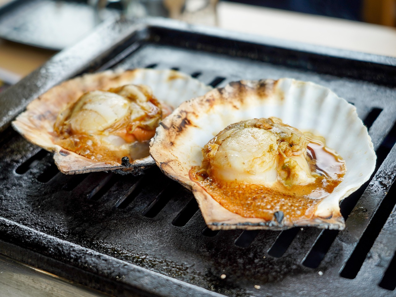 Coquilles Saint-Jacques Fruit De - Photo gratuite sur Pixabay - Pixabay