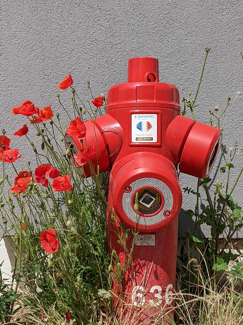 Free Urban Red photo and picture