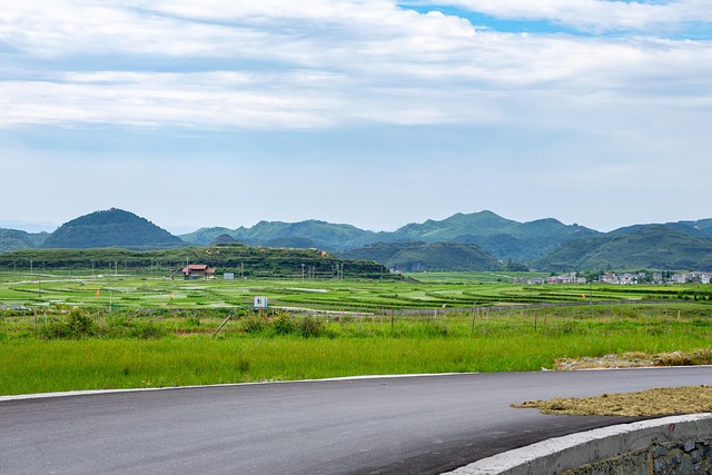 Free Highway Field photo and picture