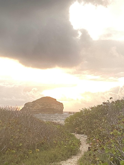 Natureza, Paisagem, Caminho, Roche