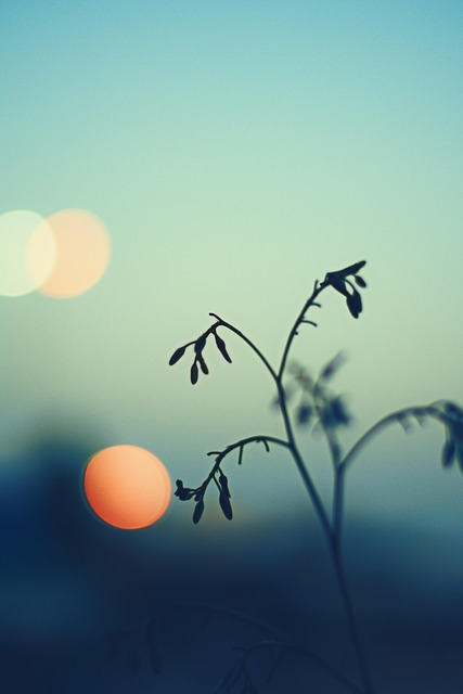Free Nature Growth photo and picture