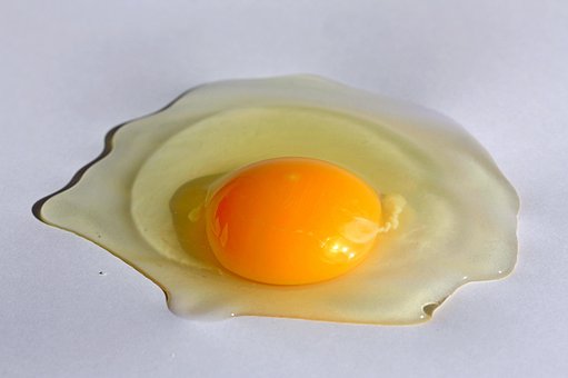 Free Egg Food photo and picture
