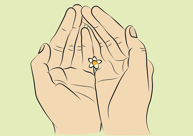 Free spring flower nature vector