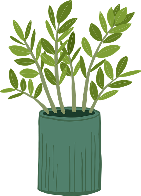 Free leaf pot plant illustration