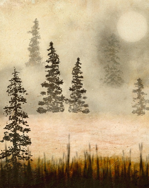 Free misty forest nature illustration