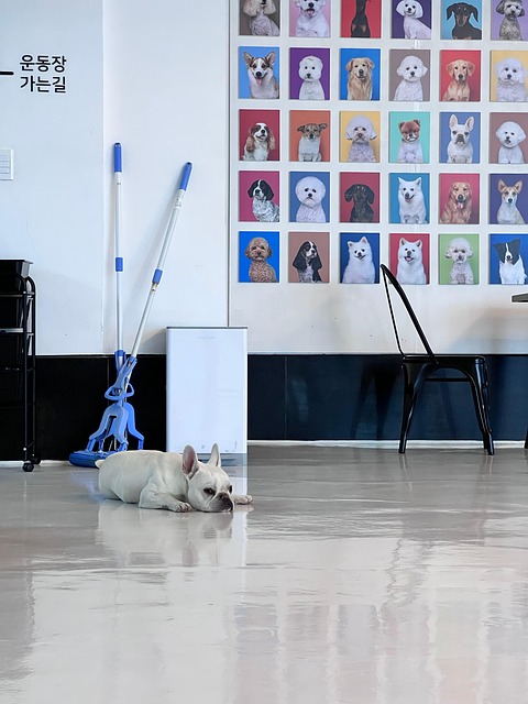 Puppy Boredom Cafe - Free photo on Pixabay - Pixabay - Grazing And Puppy Boredom