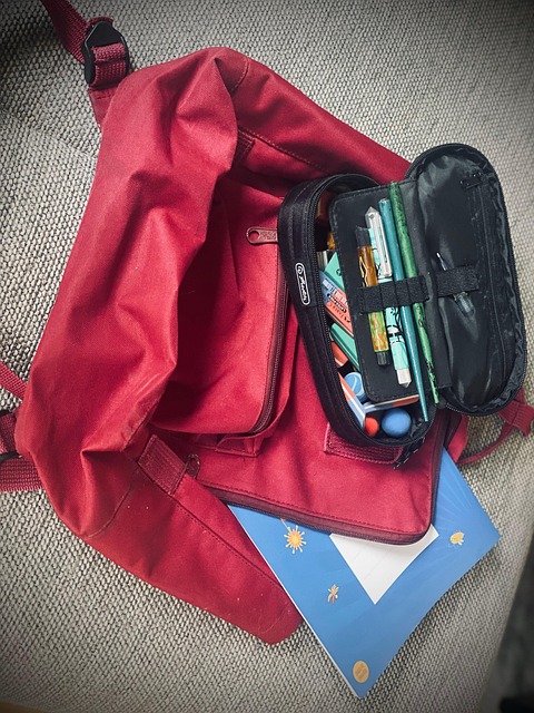 Free Backpack Education photo and picture