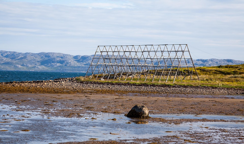 Native Canadian Fish Drying Rack Drying Rack Fish Hanging - Free photo on Pixabay - Pixabay