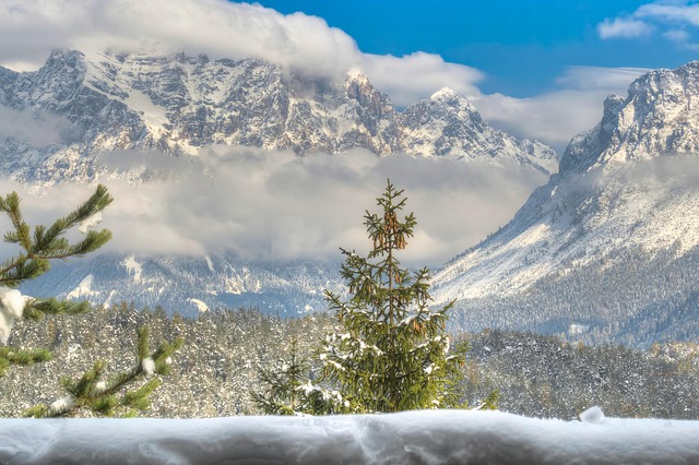 Free Winter Landscape Winter photo and picture