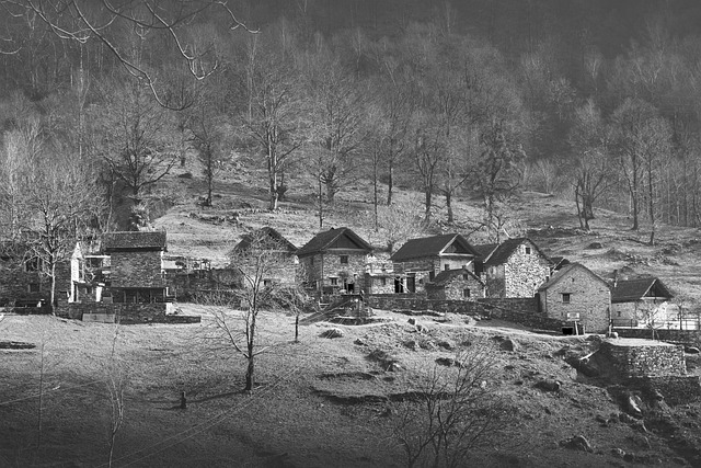 Free Village Houses photo and picture