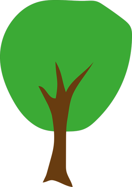 Free tree deciduous tree plant vector