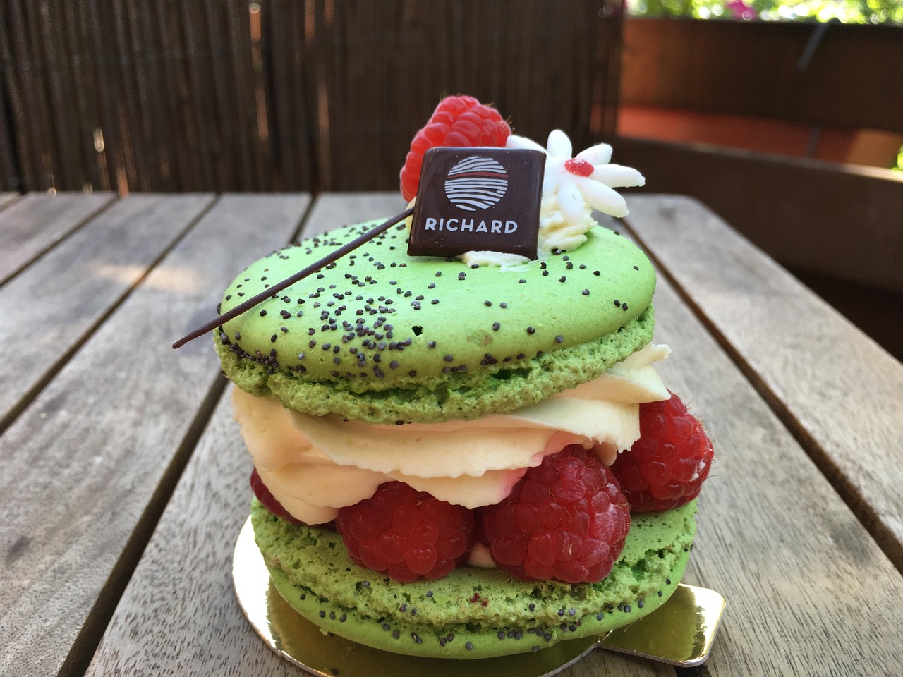 Cake Shop Pie Macarons Free photo on Pixabay Pixabay