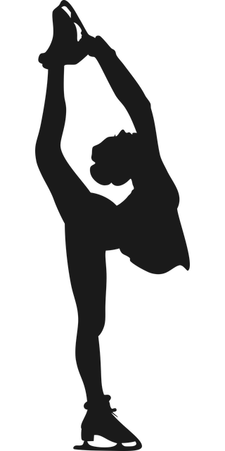 Free sport ice skating illustration