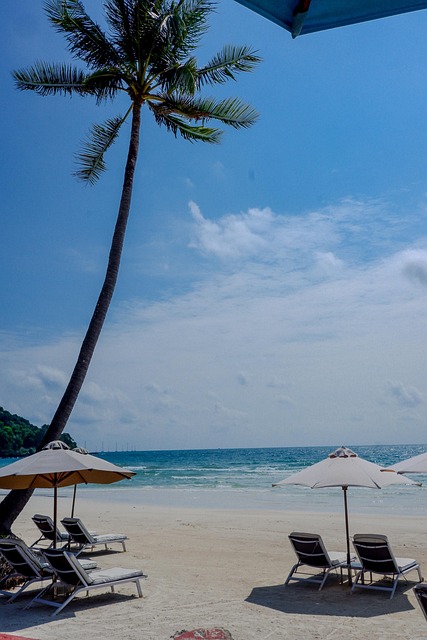 Free Vietnam Phuquoc photo and picture