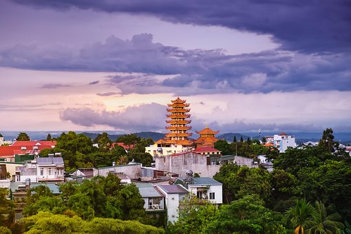 Free Tree Vietnam photo and picture