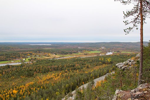 Finlanda, Munte, Pădure, Natura, Copaci