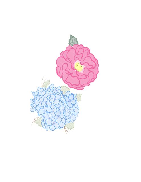 Free flower nature hydrangea illustration