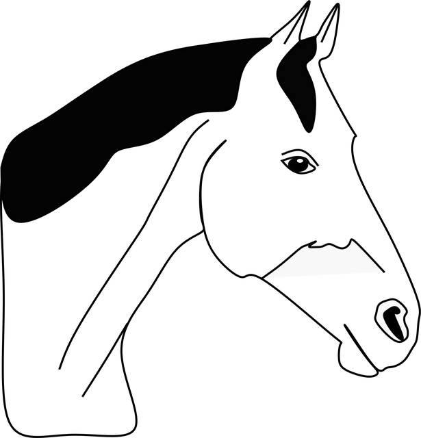 Download free HD stock image of Horse Nature Free horse nature line art vector