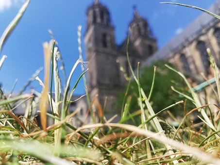 Kerk, Religie, Gras, Weide, Natuur, Dom