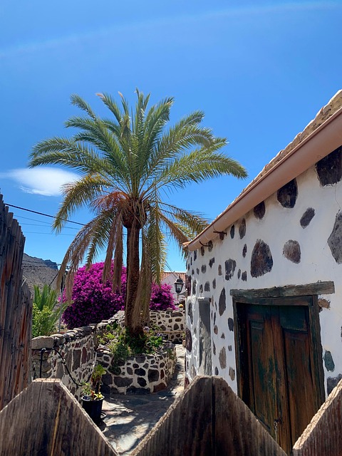 Free Palmtree Rural House photo and picture