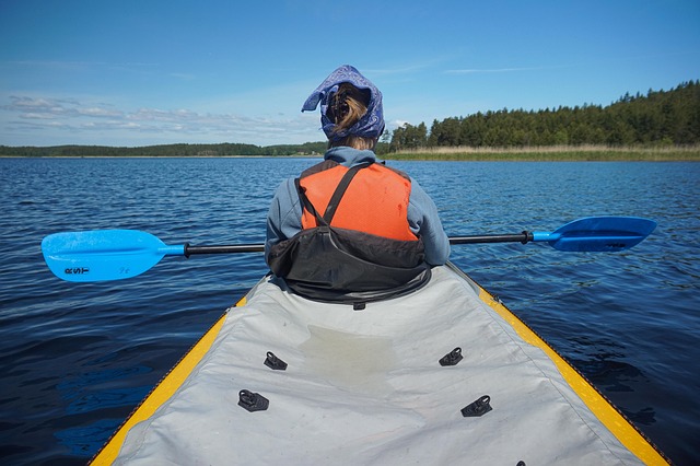Free Kayak Paddle photo and picture