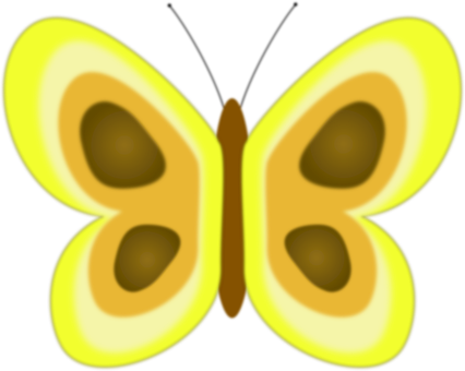 Insectă, Fluture, Aripi, Zbor, Elimina