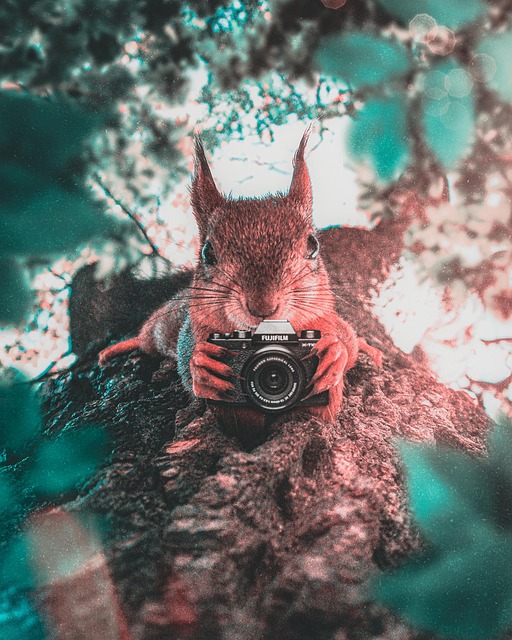 Free Collage Retro illustration and picture