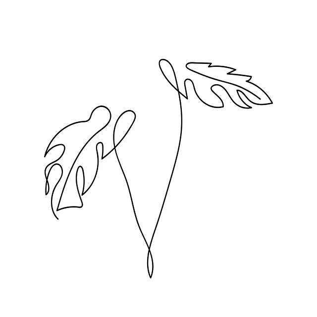 Monstera, Plante, Tropisk