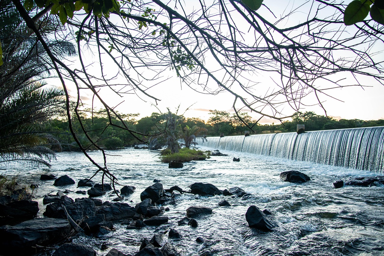 Wtaerfall Tree Waterfall Water Tree - Free photo on Pixabay - Pixabay