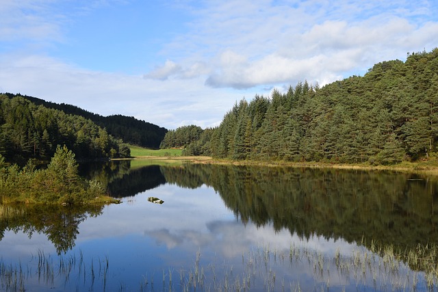 Free Lake Tarn photo and picture