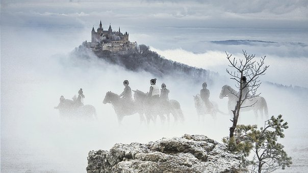 Free Horses Animal photo and picture