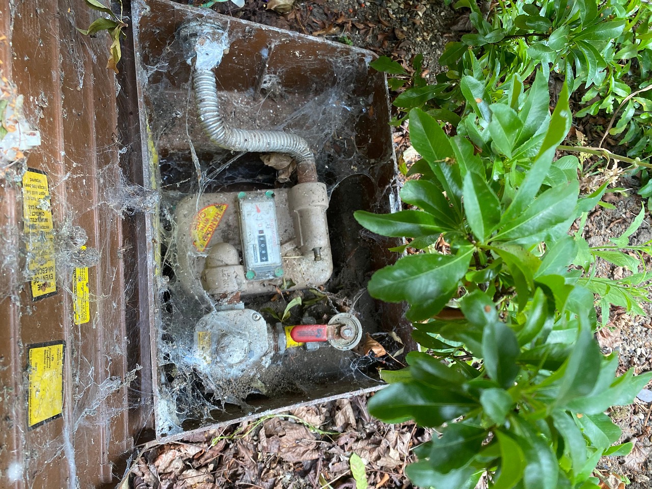 Gas Meter Spiders - Free photo on Pixabay - Pixabay