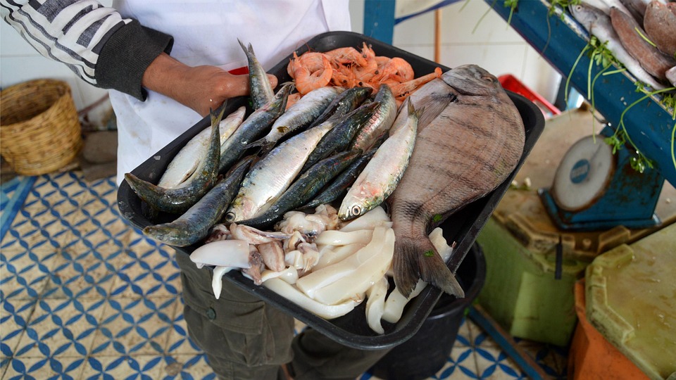 Essaouira Maroc Pêche - Photo gratuite sur Pixabay