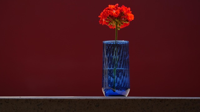 Free Rose Flower photo and picture