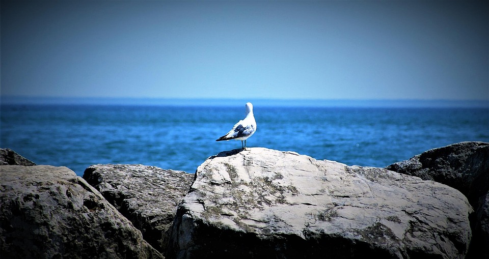 Nature Plage Mer - Photo gratuite sur Pixabay - Pixabay