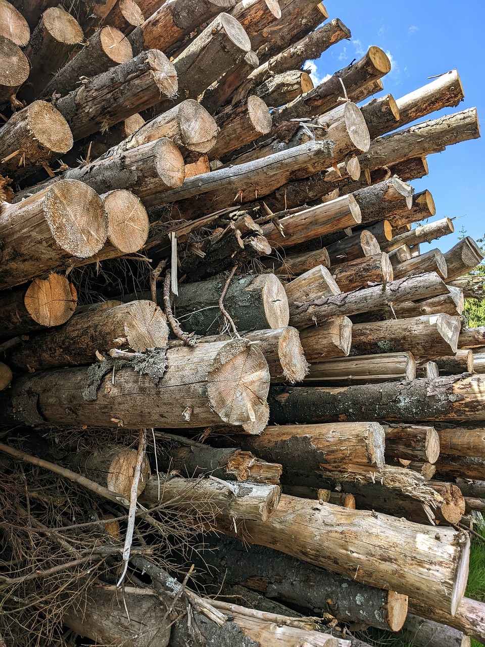 Wood Timber Lumber - Free photo on Pixabay - Pixabay