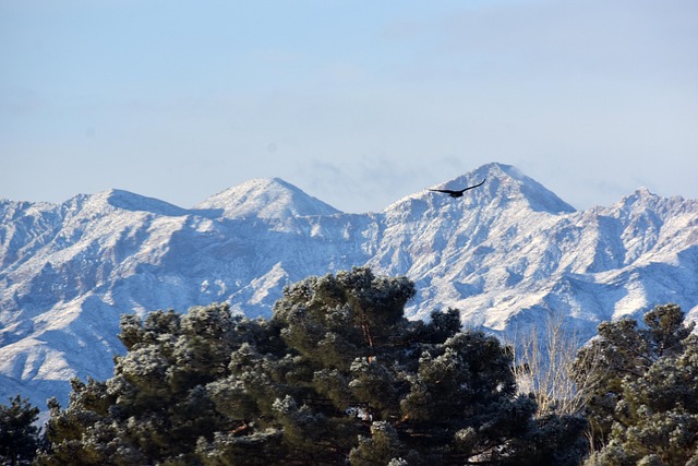 Free Mountain Snow photo and picture